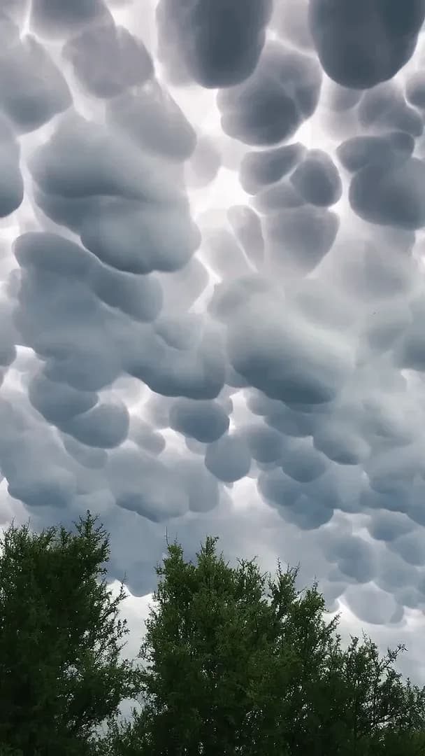 Those are mammatus clouds real, bizarre looking clouds that form when cold air sinks inside a thunderstorm They look like giant bubbles hanging from the sky.