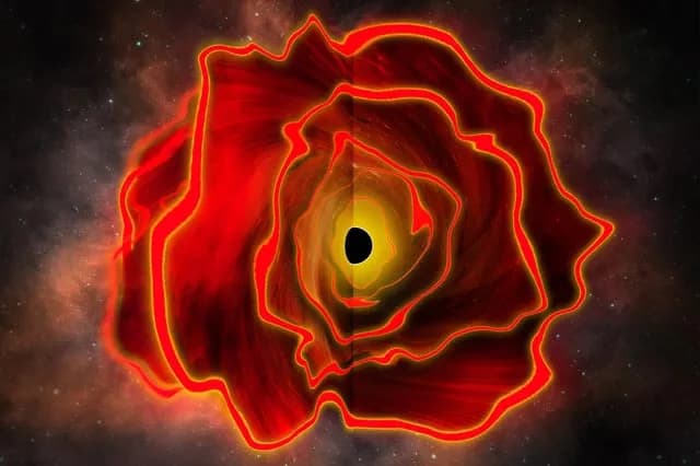 Astronomers discover a brand-new type of astrophysical object: A black hole star, « The mashup of a black hole and an enormous star has never been seen before and could explain the mysterious little r
