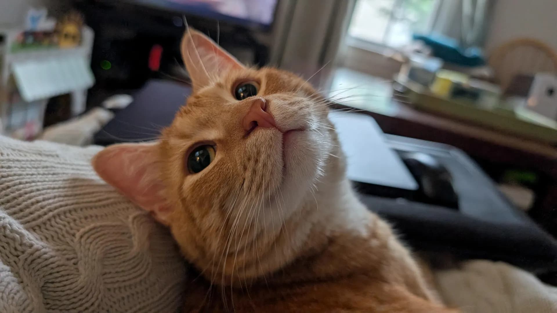 Two years of utterly adorable chaos with this boy 🧡 Happy birthday Sam!