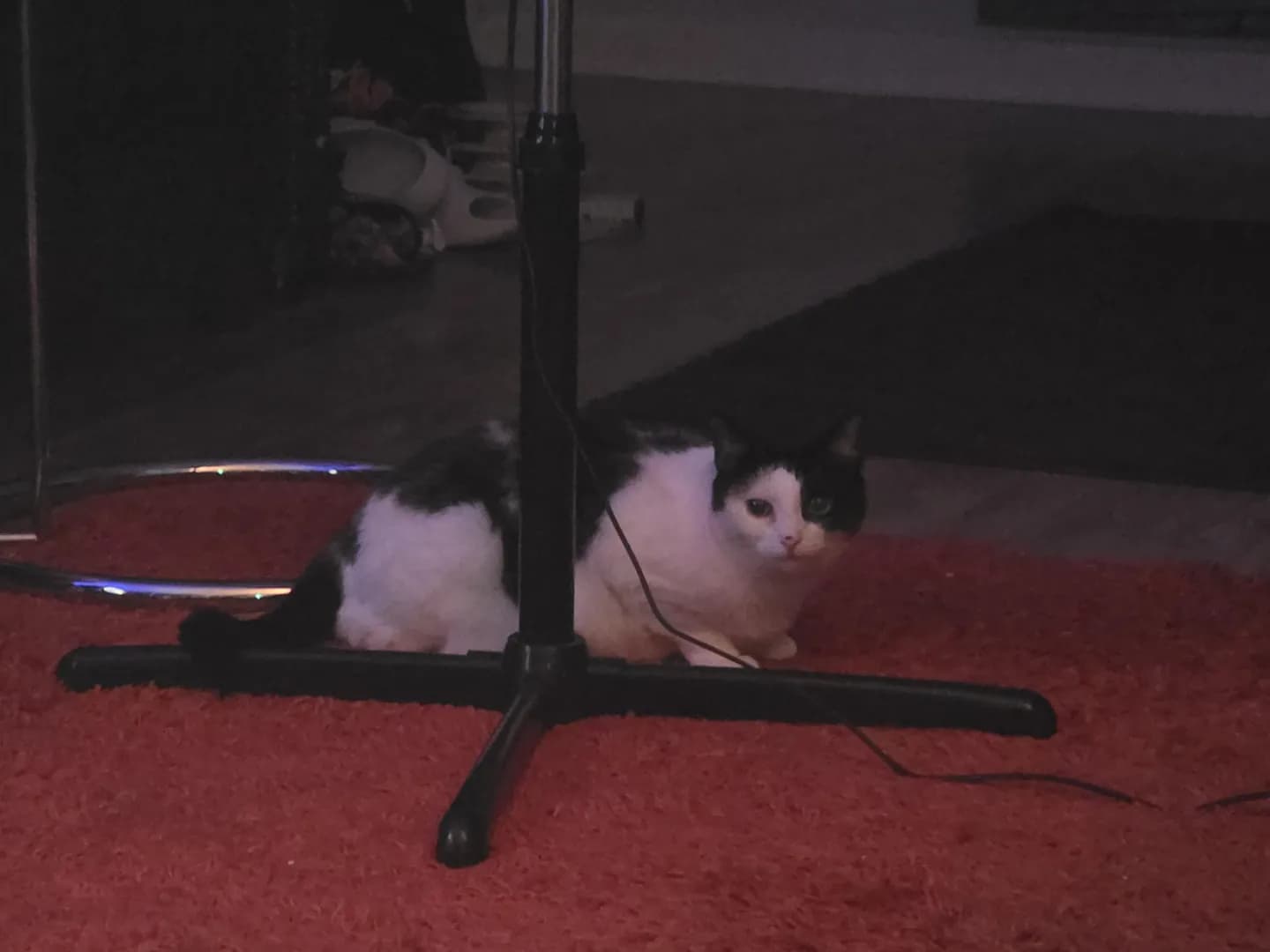 She's so good at hiding.