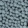 Two oceans, one country—and 20 times more sharks in the prehistoric Pacific
