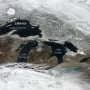 While Great Lakes ice cover is slipping, a 'temporary respite' may be on the way