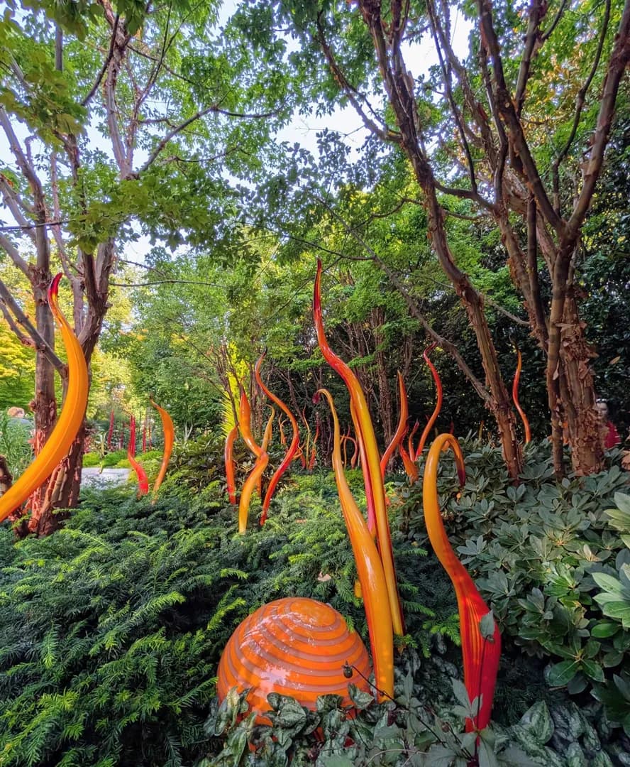 Chihuly Museum, Seattle 8/13/26 [OC]