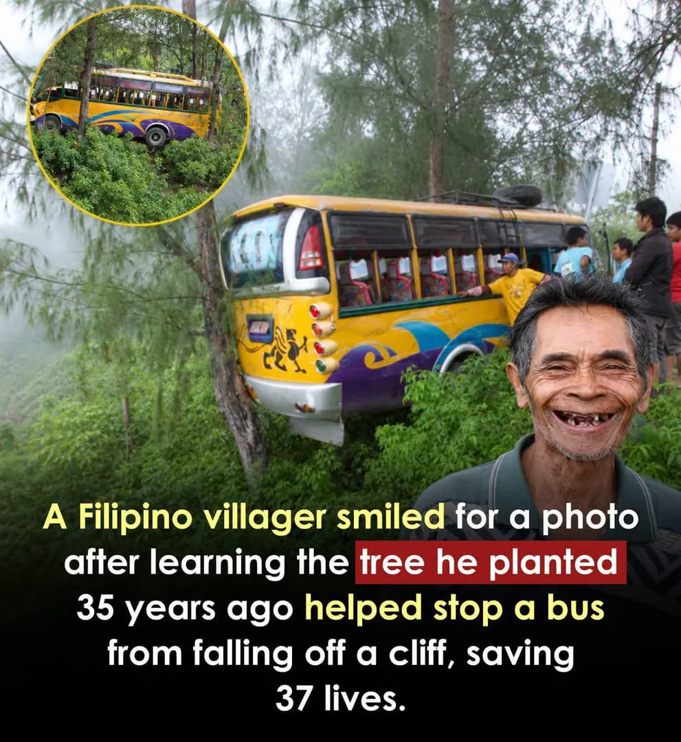 He never knew the tree was growing into someone's second chance.