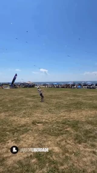 James Almas flying multiple kites independently at once.