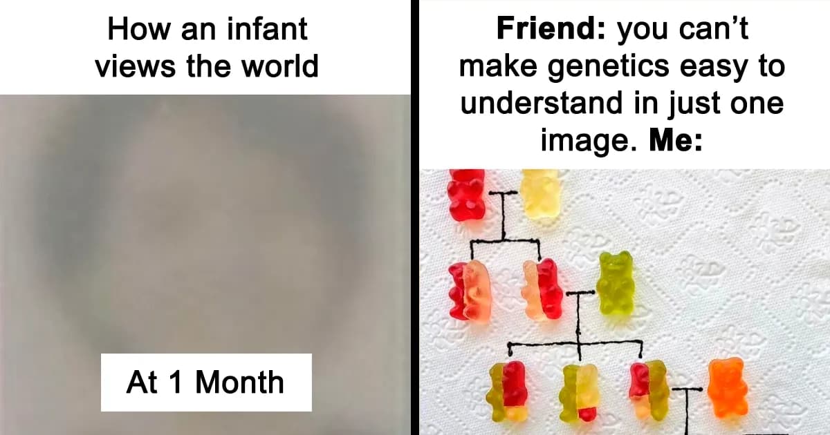 Useful Parenting Guides That Teach Through Images