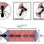Scientists simulating ant swarms find a 'first mover' can set the colony in motion