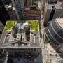 Green roofs can help cool cities in the summer heat, but building them is only the first step. Many don't survive