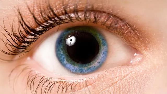 Surprise triggers pupil dilation and brain-wave changes that signal the brain’s transition into a new mode, instantly changing how a person perceives and learns from what is happening around them