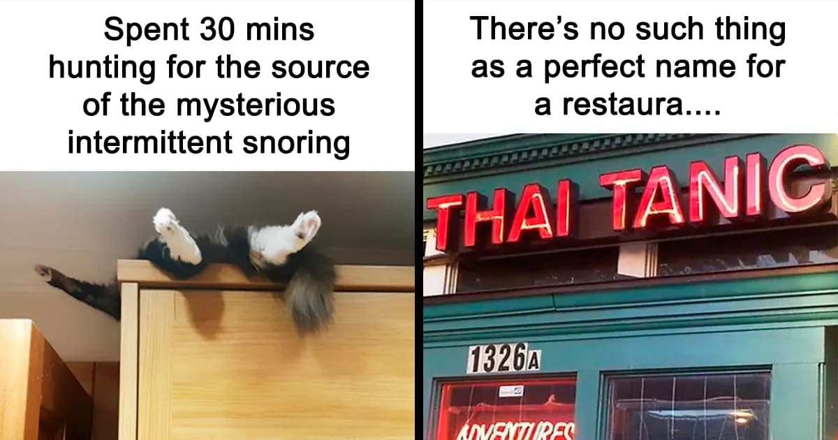 41 Funny And Polite Memes That Don’t Laugh At Anyone’s Expense