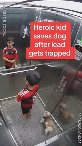 Heroic Kid saves pet dog after its lead becomes trapped in elevator door