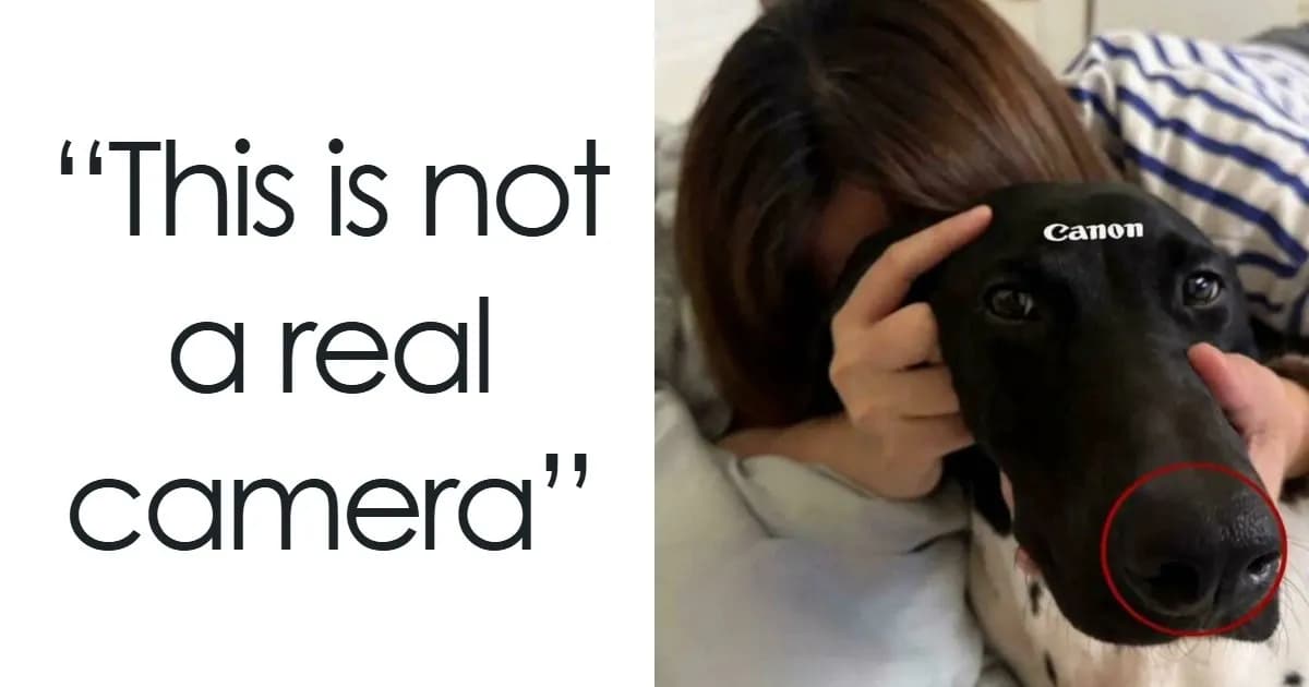 77 Photos From The “Not Interesting“ Community That People Are Weirdly Invested In (New Pics)