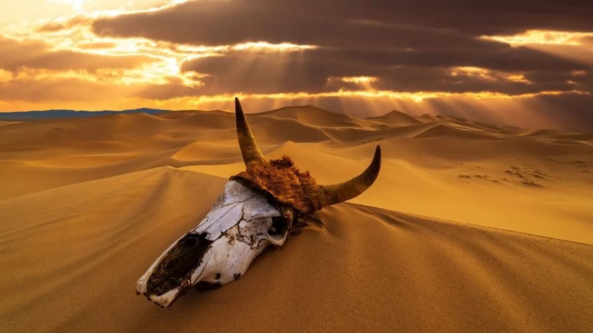 'Critical Transition': Earth's Chemistry Wobbled During Its 5 Biggest Mass Extinctions