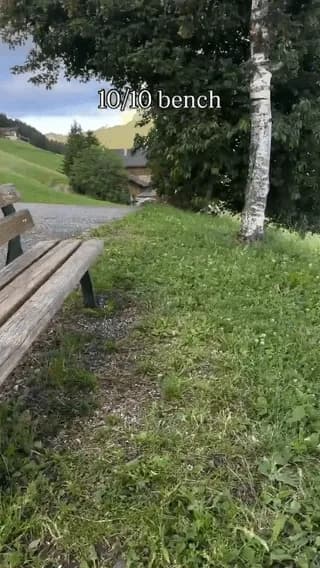 Possibly the best bench in the entire world