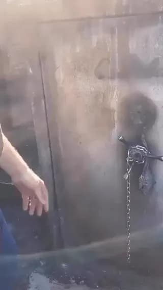 Dude's safe survived a wildfire.