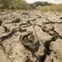 Shrinking water bodies can turn drought into disease hotspots or dead ends