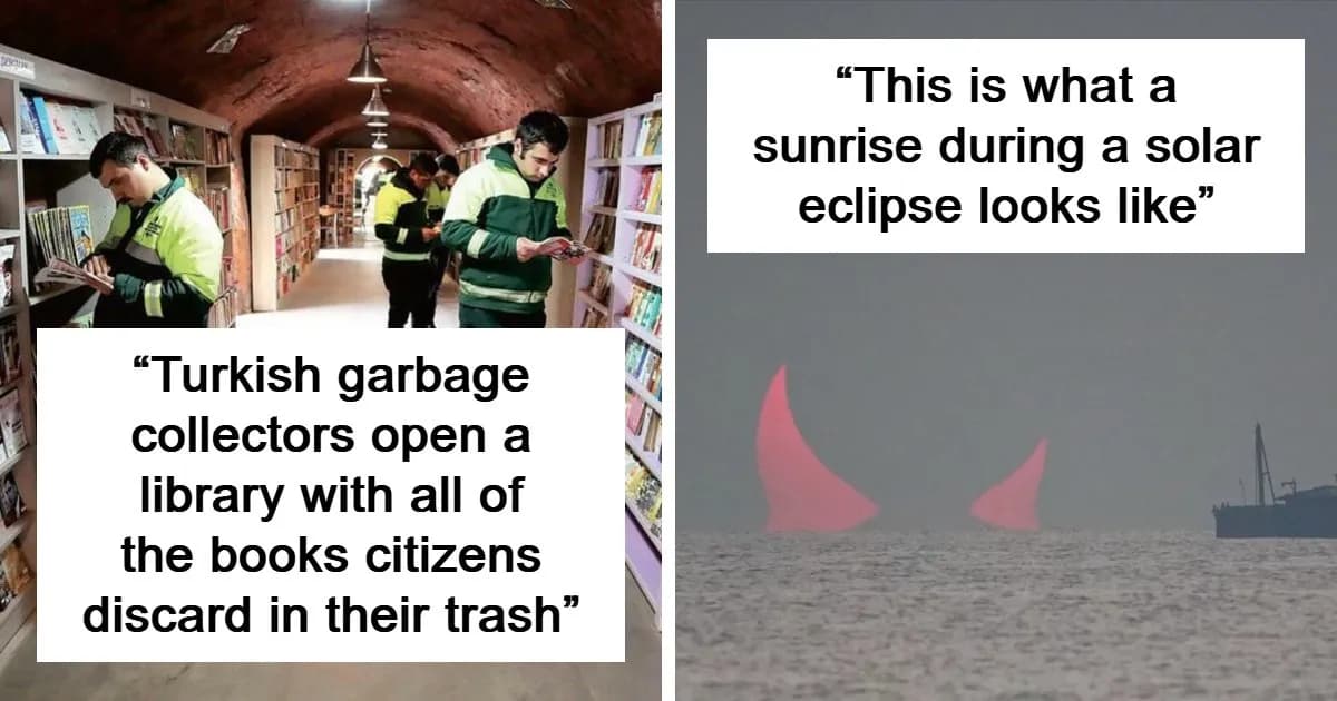 96 Wild Pictures That Make You Appreciate How Weird And Wonderful The World Is