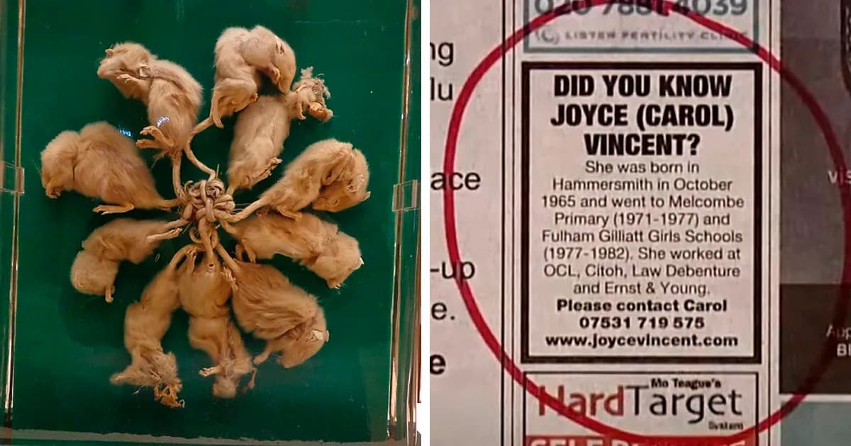 Wikipedia Articles That Prove Real Life Is Way More Terrifying Than Movies