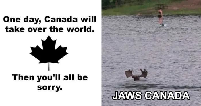 Only In Canada: 27 Memes And Posts That Describe The Country