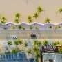 Miami's largest tree canopies deliver most cooling, monitoring data suggests