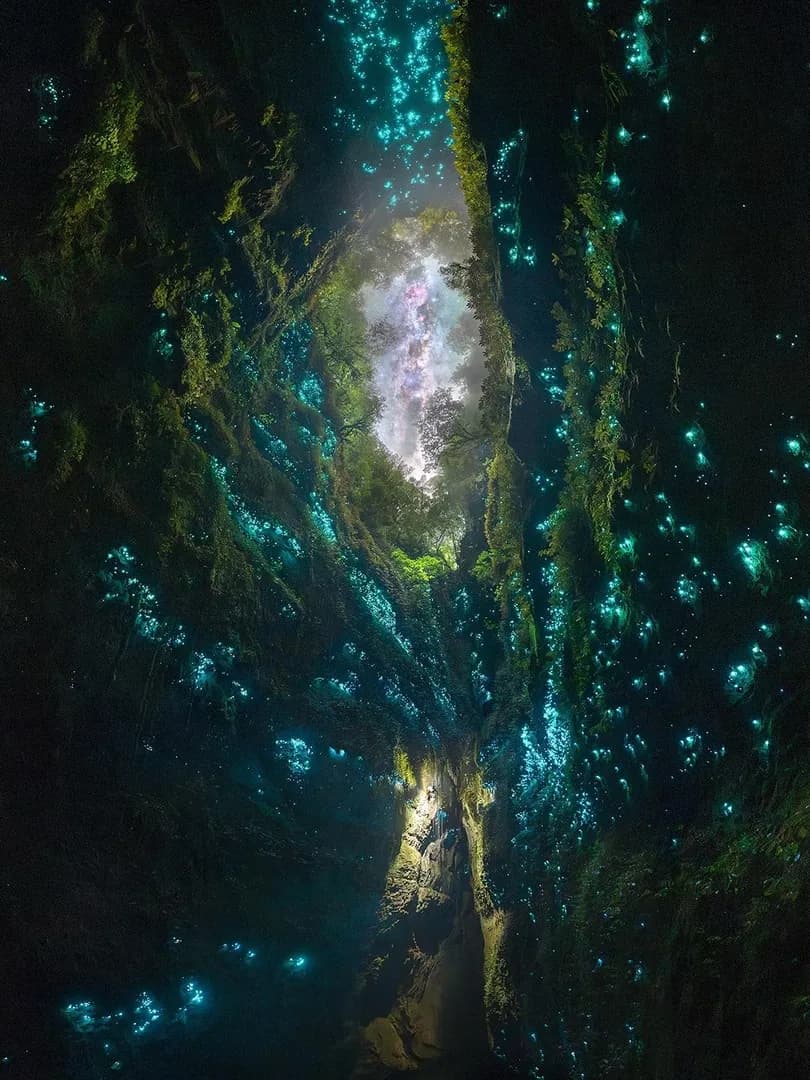 The Chasm" is an acclaimed nighttime image captured by New Zealand astrophotographer Tom Rae, depicts a profound, 100m vertical descent into underground cave network in New Zealand's North Island at n