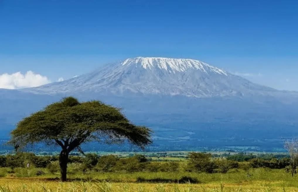 The beauty of the Kilimangiaro
