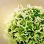 Immune cells have a 'sense of touch,' scientists discover