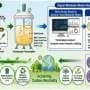 Engineered E. coli convert kimchi radish waste into biodegradable bioplastic