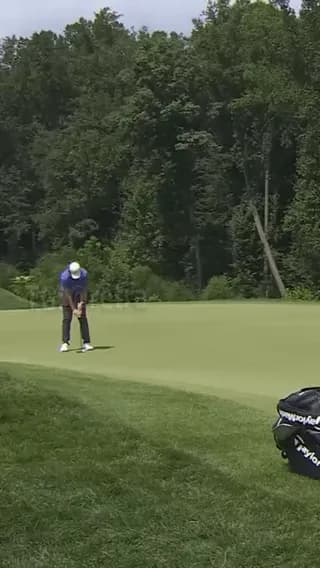 That fly just made him win $2 million