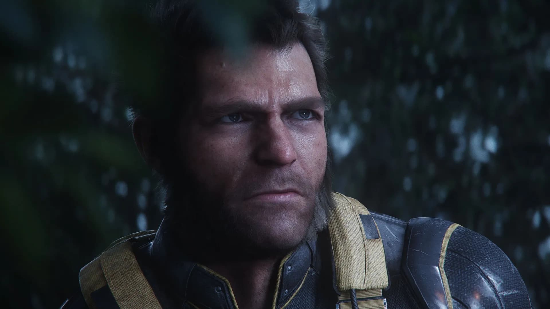 Wolverine