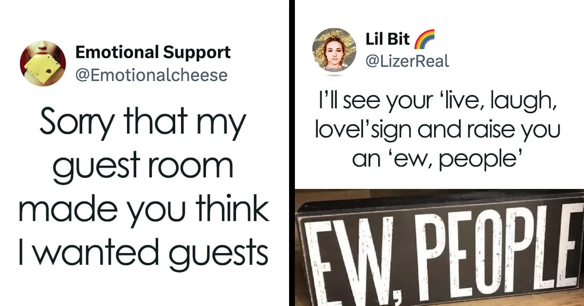Memes For People Who Are Fed Up With Other People And Their Nonsense
