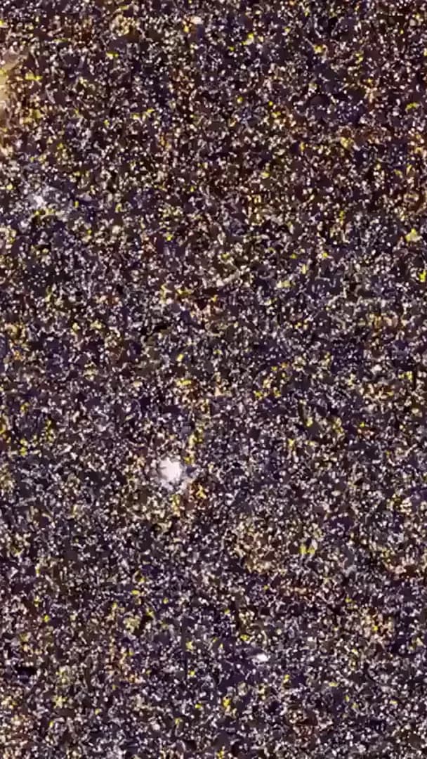 This is Just a Small Part of the Andromeda Galaxy, Which has Over 1 Trillion Stars and Star Clusters