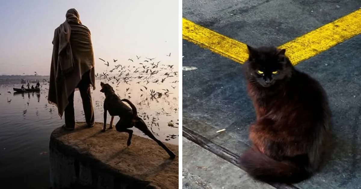 32 Remarkable Photographs By Tittu Shaji Thomas That Capture Life Across Cultures And Landscapes