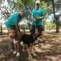 Concerns about the New World screwworm have put Texas pet adoptions on hold