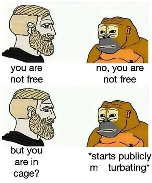 Who's really free🦧