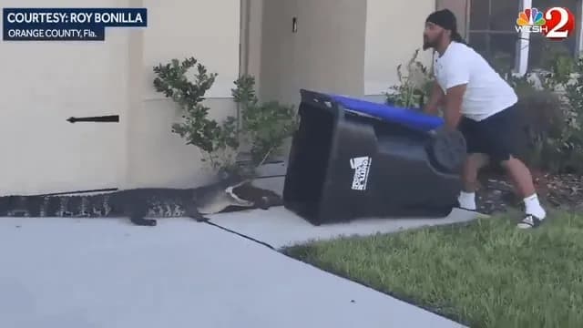 Florida man uses trashcan to capture gator & release it back in the water