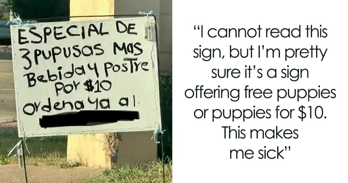63 Cringe And Hilarious Moments Of People Being Wrong With Full Confidence (New Pics)