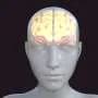 Designing supramolecular therapies to cross the blood-brain barrier