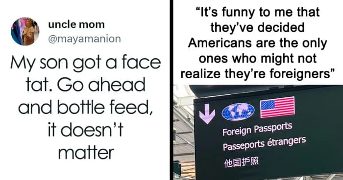37 Funny, Relatable, And Just Silly Memes