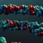 RNA droplets may have helped start life on Earth