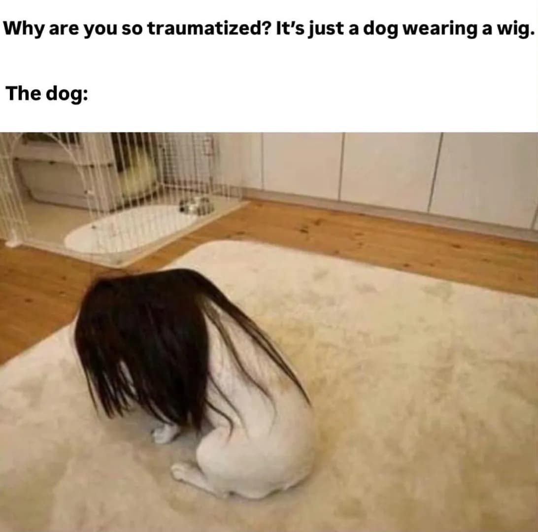 It’s just a dog