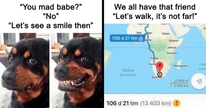 Office Procrastination: Amusing Memes To Distract From Work