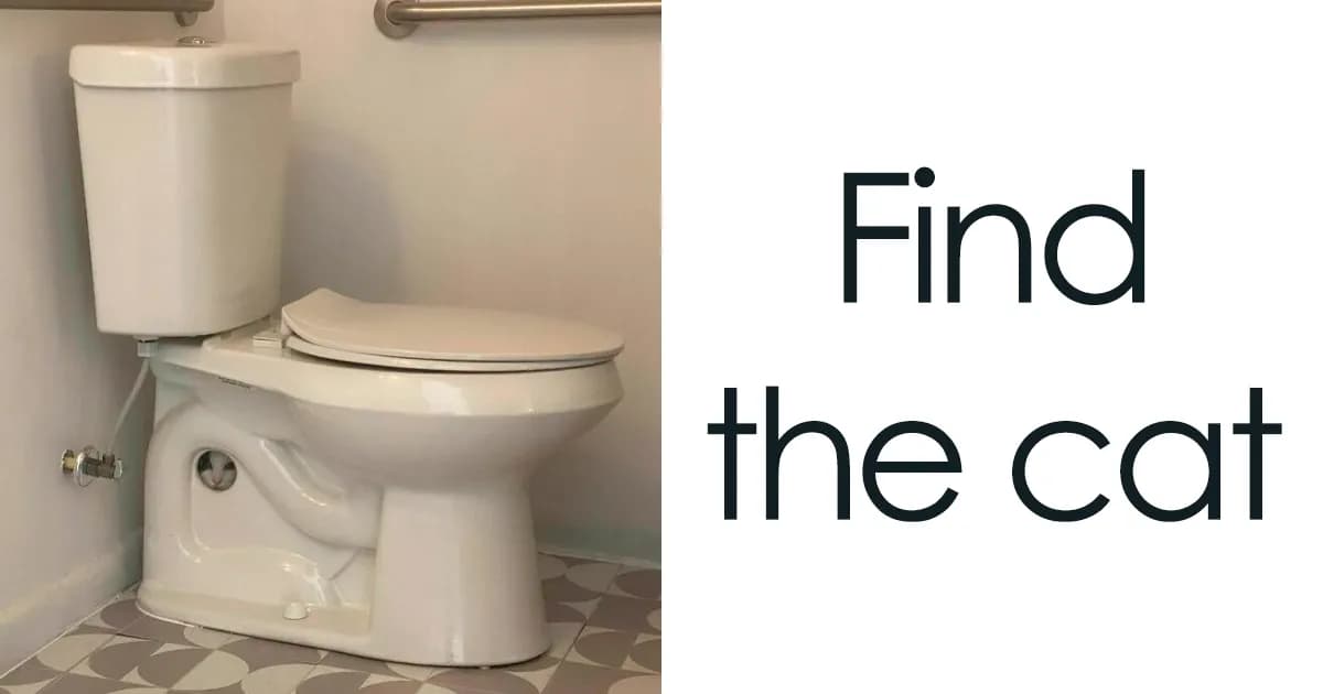 CatCon Worldwide: 49 Unusual Feline Memes For Cat Lovers