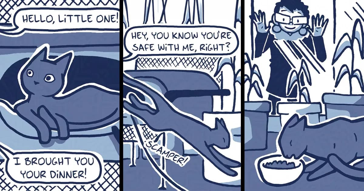 Artist Turned Her Unexpected Bond With A Stray Cat Into A Heartwarming Comic Series