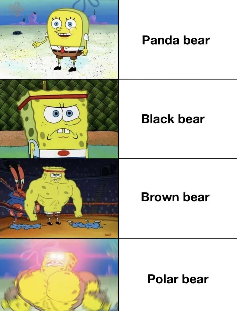 Polar bears been fully upgraded