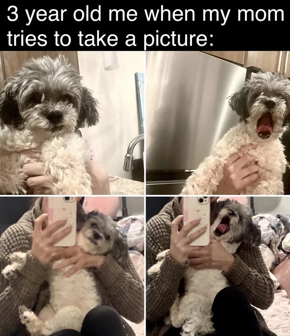 She tried her best…