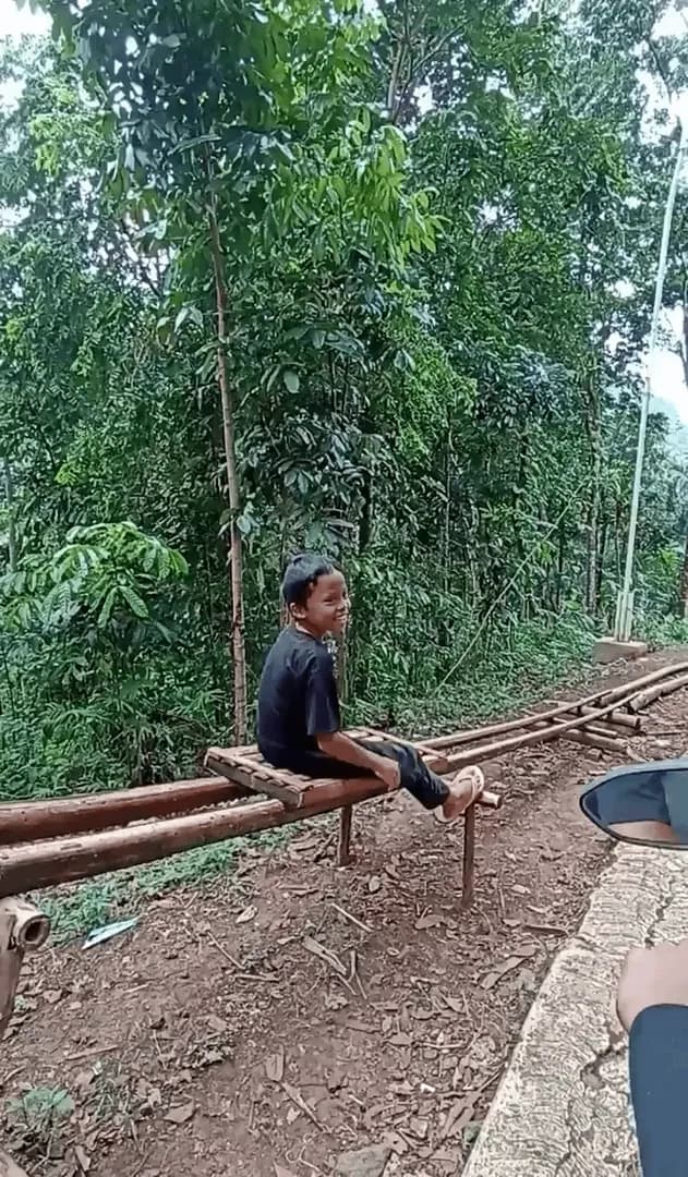 Train made of wooden sticks