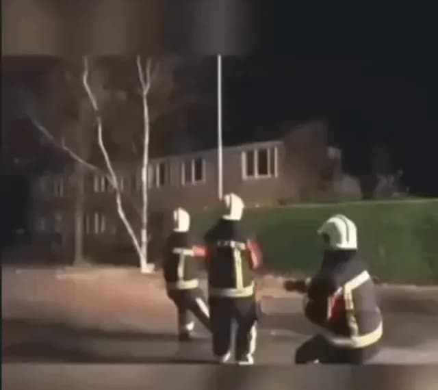 The local firefighters couldn't stop laughing when a stray dog helped them.