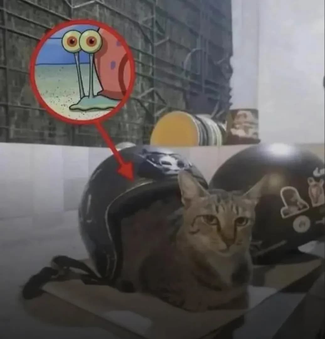 Found Gary