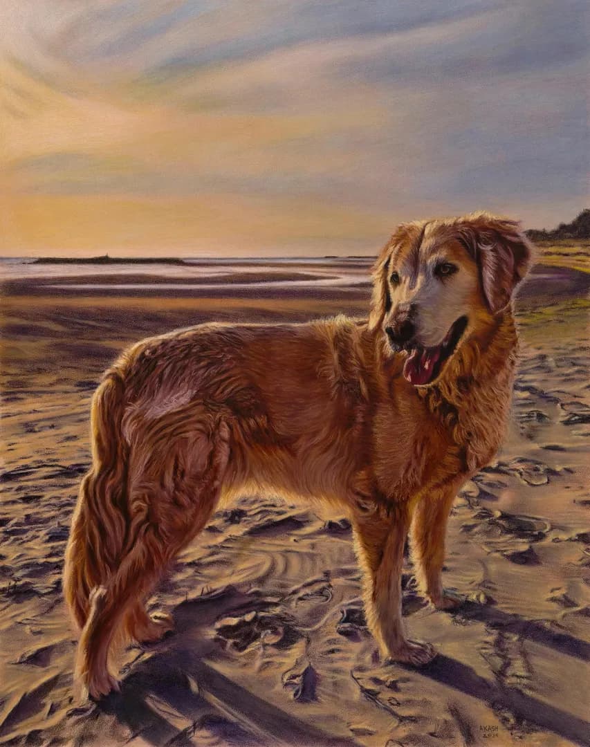 Golden hour portrait of a good boy made using oil pastels and colored pencils